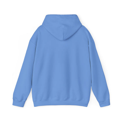 Unisex HOOLIES SOLO Hooded Sweatshirt